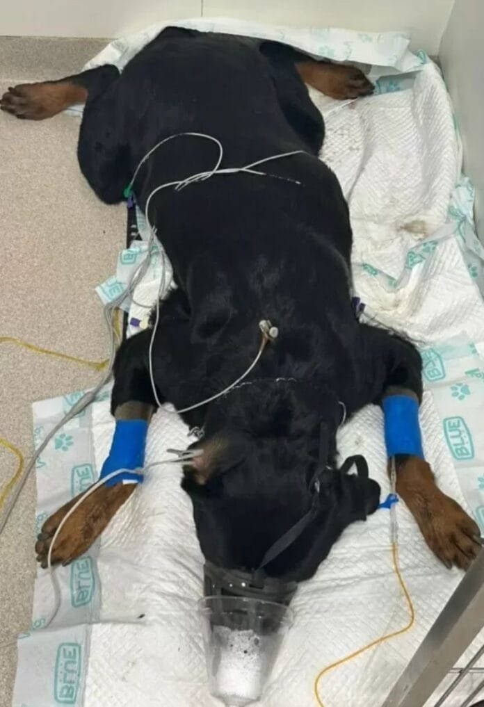 7fc5c80f-cd0b-410c-b3ca-99abce198ce6