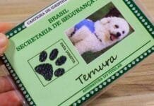 Pet é membro oficial da família, e você pode registrar em cartório!